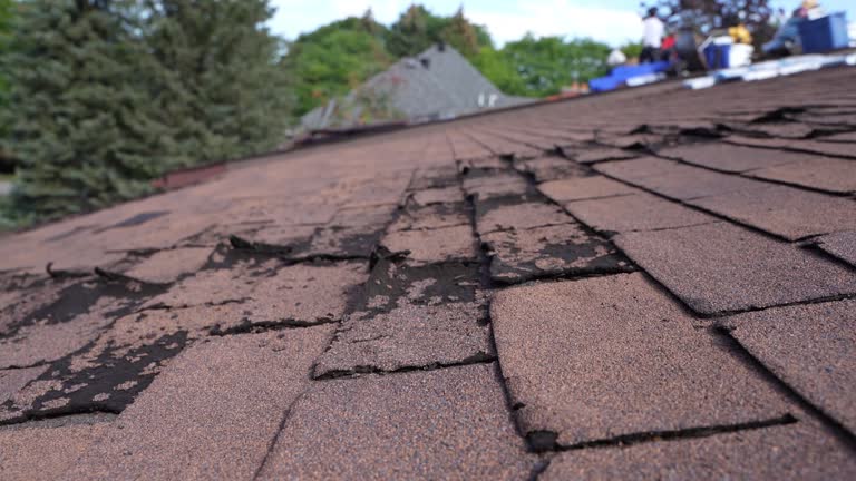 Best Commercial Roofing Services  in Farmington, MN