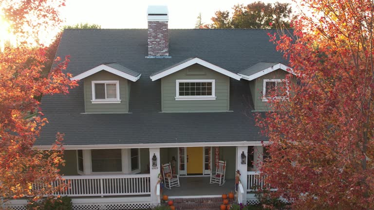 Best Solar Panel Roofing Installation  in Farmington, MN