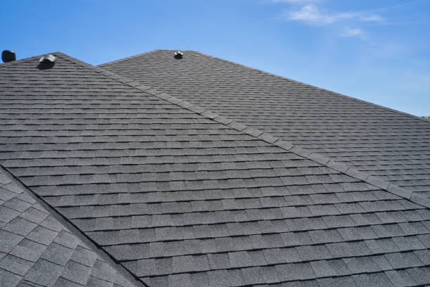 Roof Coating Services in Farmington, MN
